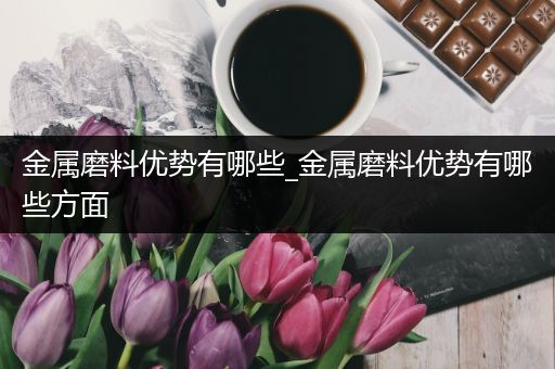 金属磨料优势有哪些_金属磨料优势有哪些方面
