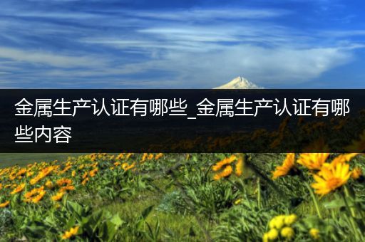 金属生产认证有哪些_金属生产认证有哪些内容
