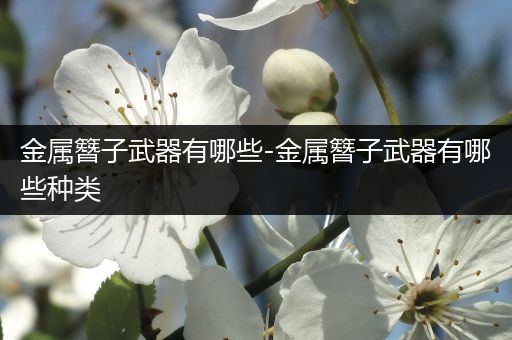 金属簪子武器有哪些-金属簪子武器有哪些种类
