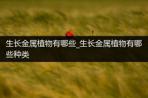 生长金属植物有哪些_生长金属植物有哪些种类