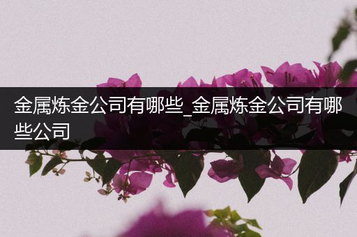 金属炼金公司有哪些_金属炼金公司有哪些公司