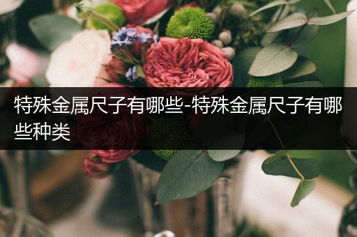特殊金属尺子有哪些-特殊金属尺子有哪些种类