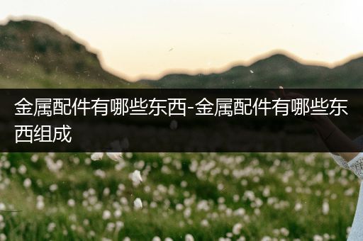 金属配件有哪些东西-金属配件有哪些东西组成