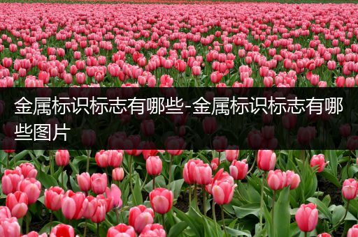 金属标识标志有哪些-金属标识标志有哪些图片