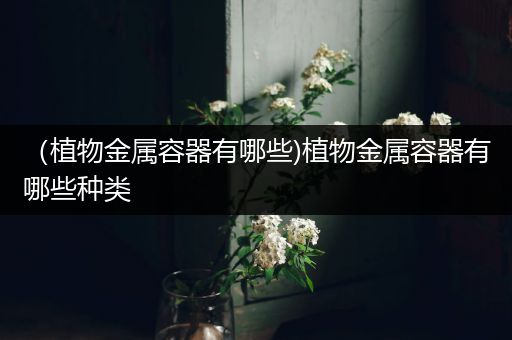 （植物金属容器有哪些)植物金属容器有哪些种类