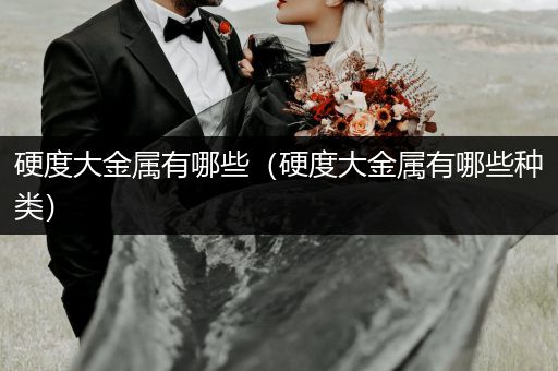 硬度大金属有哪些（硬度大金属有哪些种类）