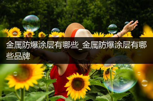 金属防爆涂层有哪些_金属防爆涂层有哪些品牌