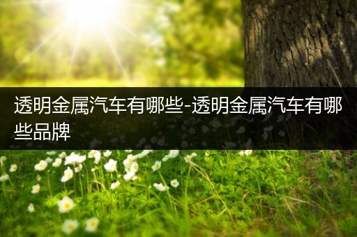 透明金属汽车有哪些-透明金属汽车有哪些品牌