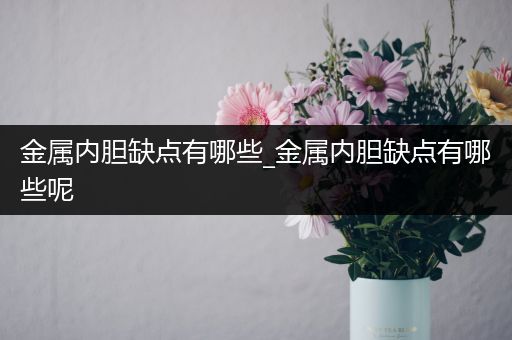 金属内胆缺点有哪些_金属内胆缺点有哪些呢