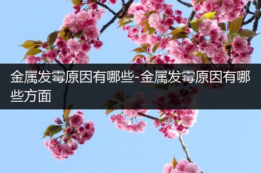 金属发霉原因有哪些-金属发霉原因有哪些方面