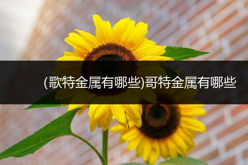 （歌特金属有哪些)哥特金属有哪些