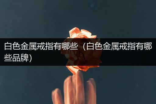 白色金属戒指有哪些（白色金属戒指有哪些品牌）