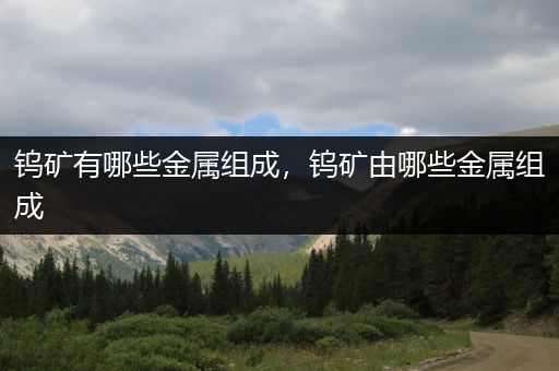 钨矿有哪些金属组成，钨矿由哪些金属组成