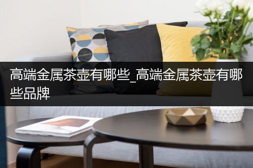 高端金属茶壶有哪些_高端金属茶壶有哪些品牌