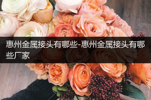惠州金属接头有哪些-惠州金属接头有哪些厂家