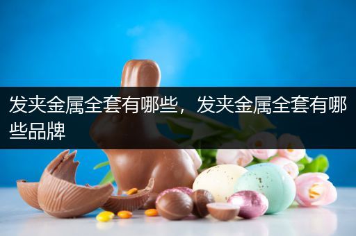 发夹金属全套有哪些，发夹金属全套有哪些品牌