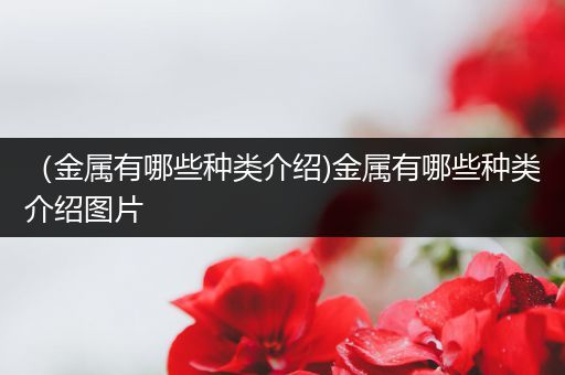 （金属有哪些种类介绍)金属有哪些种类介绍图片