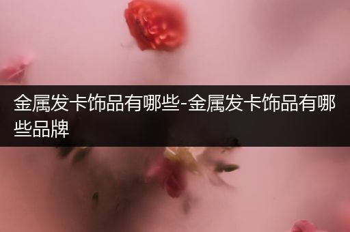 金属发卡饰品有哪些-金属发卡饰品有哪些品牌