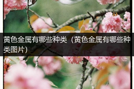 黄色金属有哪些种类（黄色金属有哪些种类图片）