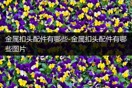 金属扣头配件有哪些-金属扣头配件有哪些图片