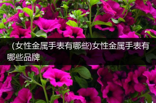（女性金属手表有哪些)女性金属手表有哪些品牌