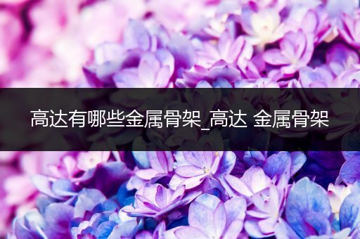 高达有哪些金属骨架_高达 金属骨架