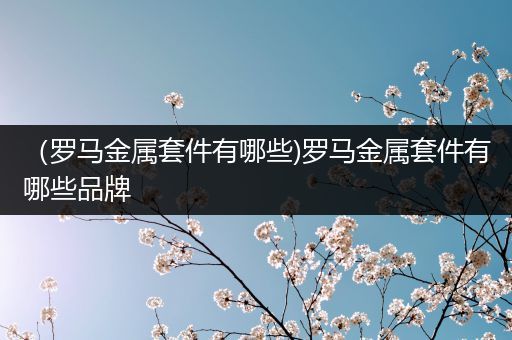（罗马金属套件有哪些)罗马金属套件有哪些品牌