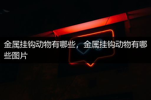 金属挂钩动物有哪些，金属挂钩动物有哪些图片