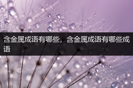 含金属成语有哪些，含金属成语有哪些成语