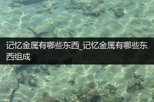 记忆金属有哪些东西_记忆金属有哪些东西组成