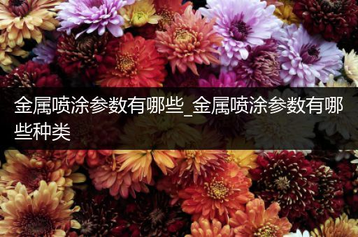 金属喷涂参数有哪些_金属喷涂参数有哪些种类