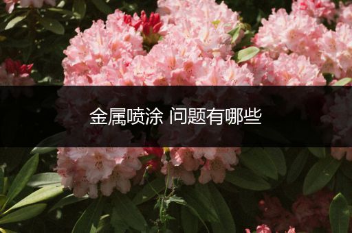 金属喷涂 问题有哪些