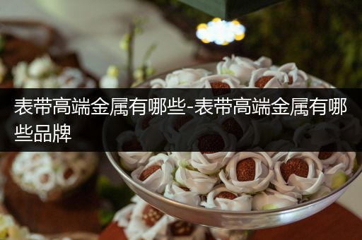 表带高端金属有哪些-表带高端金属有哪些品牌