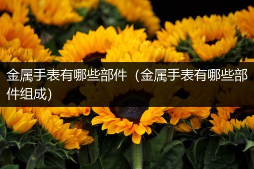 金属手表有哪些部件（金属手表有哪些部件组成）