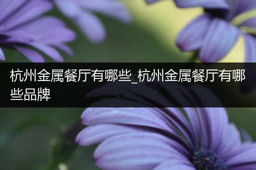 杭州金属餐厅有哪些_杭州金属餐厅有哪些品牌