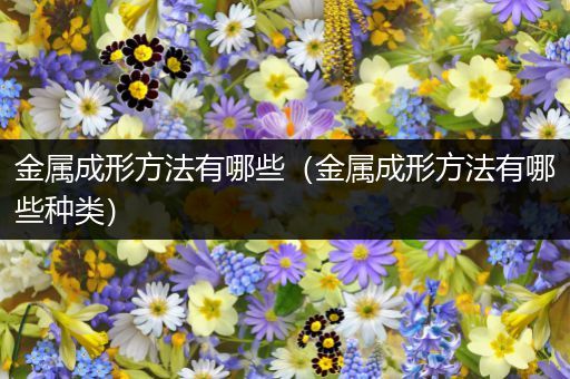 金属成形方法有哪些（金属成形方法有哪些种类）