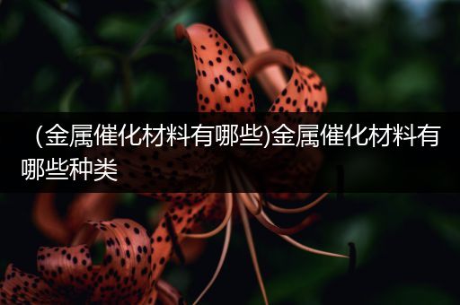 （金属催化材料有哪些)金属催化材料有哪些种类