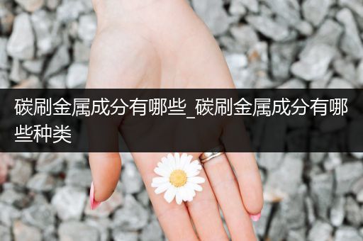碳刷金属成分有哪些_碳刷金属成分有哪些种类