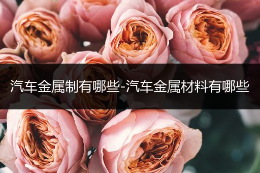 汽车金属制有哪些-汽车金属材料有哪些