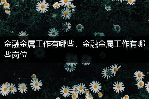 金融金属工作有哪些，金融金属工作有哪些岗位