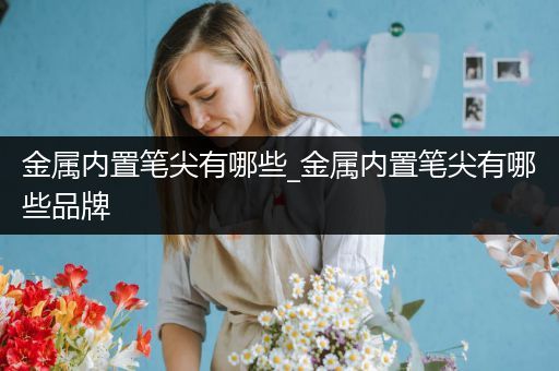 金属内置笔尖有哪些_金属内置笔尖有哪些品牌