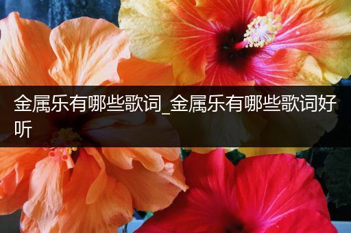 金属乐有哪些歌词_金属乐有哪些歌词好听
