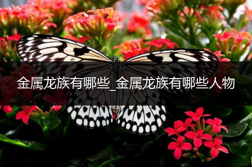 金属龙族有哪些_金属龙族有哪些人物