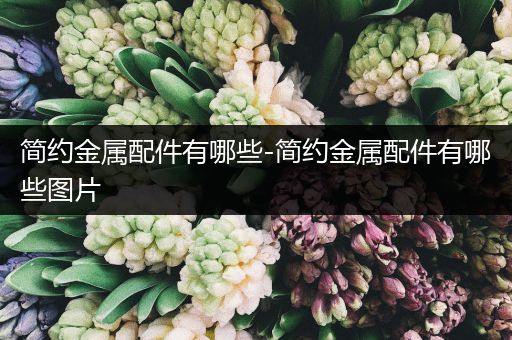 简约金属配件有哪些-简约金属配件有哪些图片