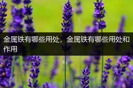 金属铁有哪些用处，金属铁有哪些用处和作用