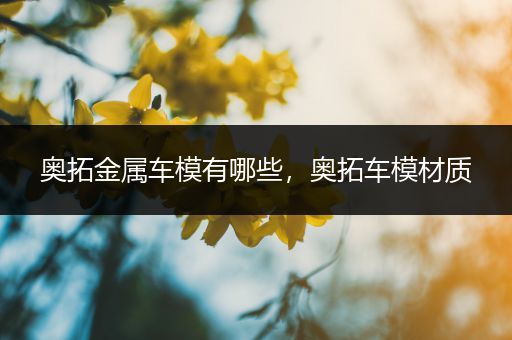 奥拓金属车模有哪些，奥拓车模材质