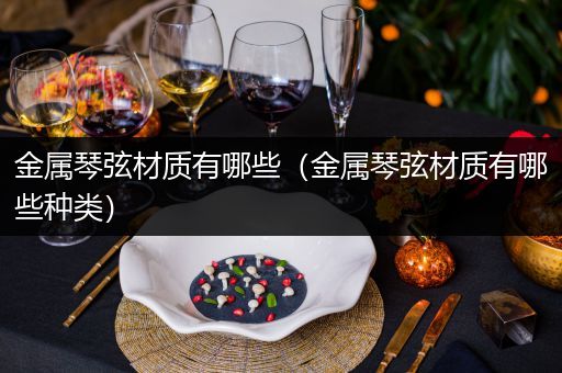 金属琴弦材质有哪些（金属琴弦材质有哪些种类）