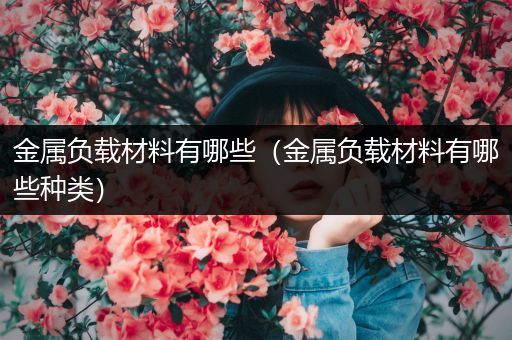 金属负载材料有哪些（金属负载材料有哪些种类）