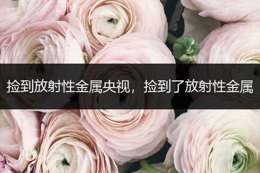 捡到放射性金属央视，捡到了放射性金属
