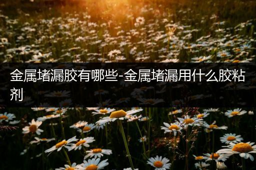 金属堵漏胶有哪些-金属堵漏用什么胶粘剂